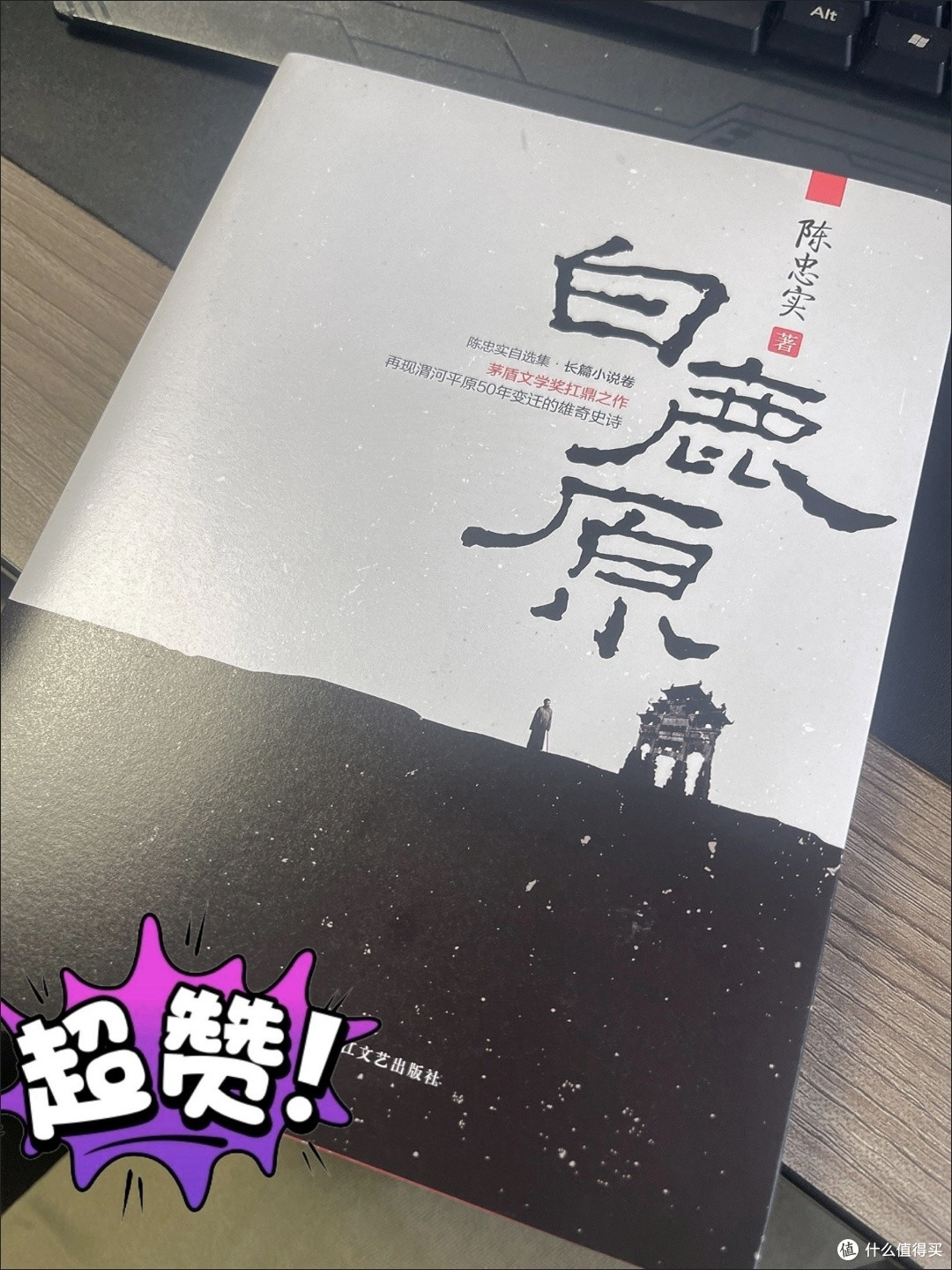原上悲歌,民族秘史——《白鹿原》