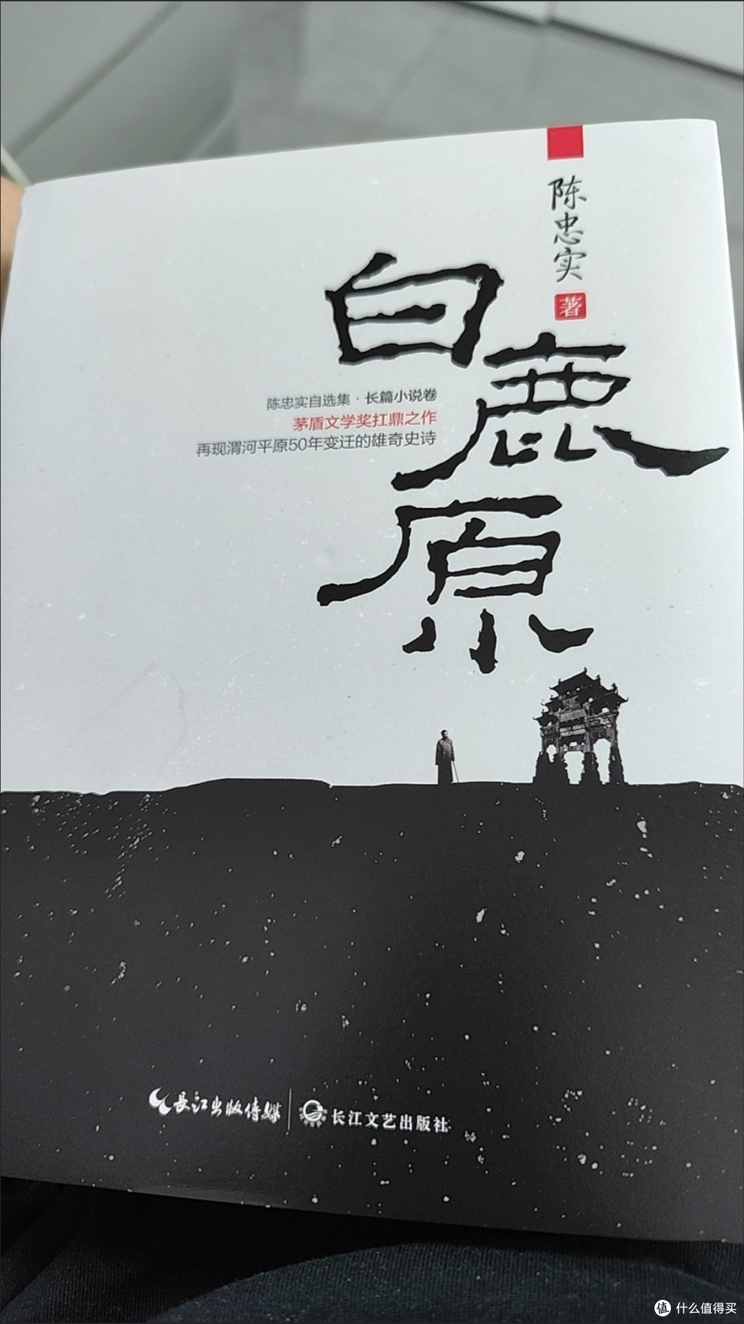 原上悲歌,民族秘史——《白鹿原》