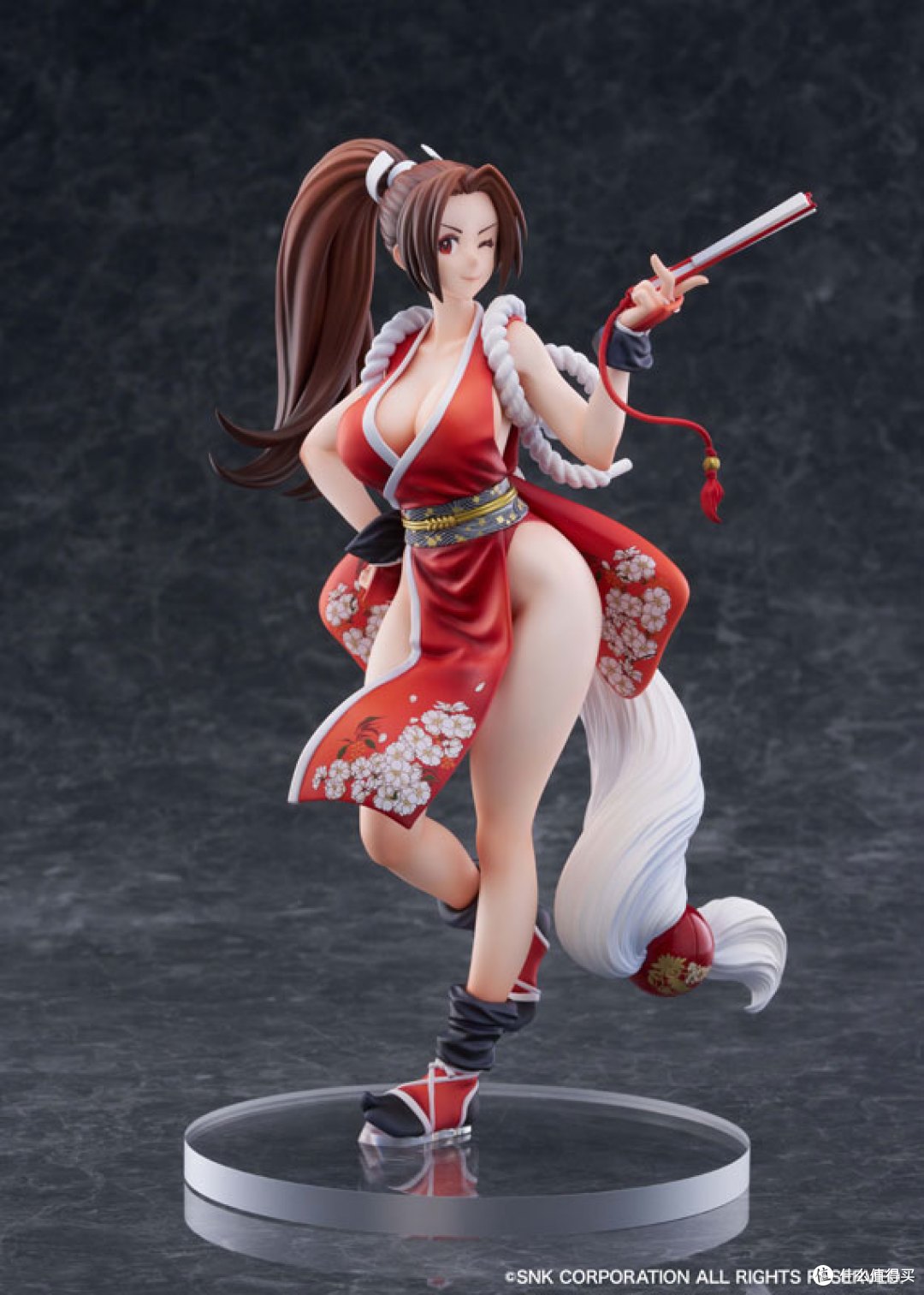 全世界都认识她,但她险些是他