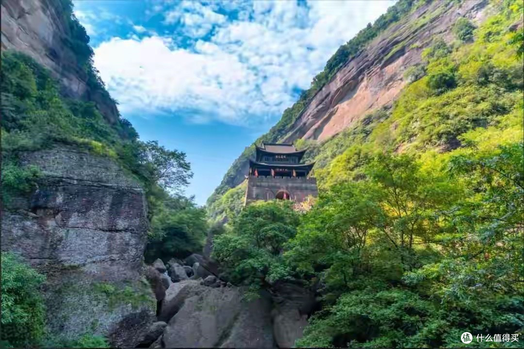 病人奶粉哪种更健康?陪护家属把纯驼乳、复配型和冲调便利一起看