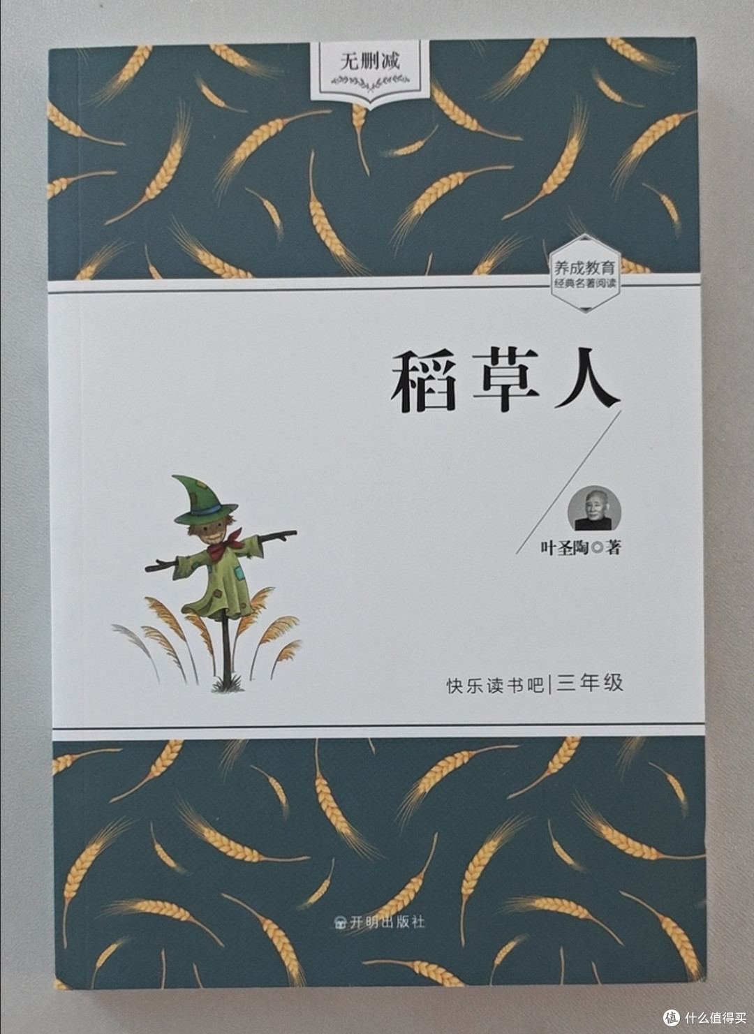 悲悯的田野守望者——《稻草人》