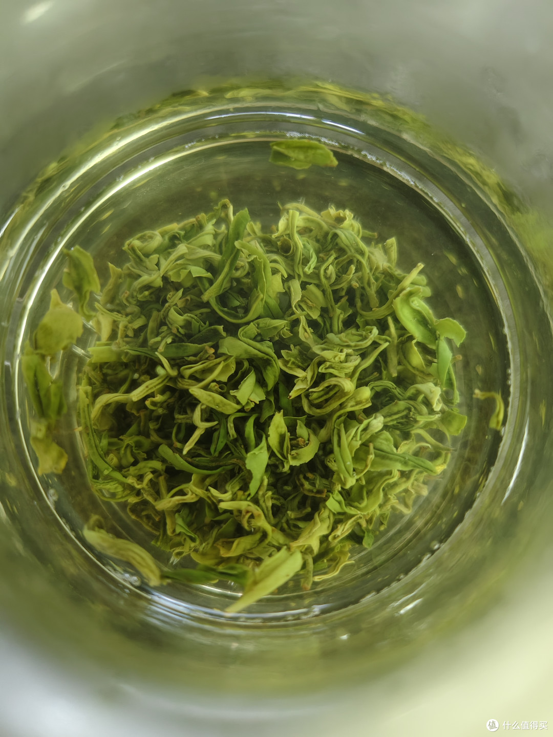 素茗春芽