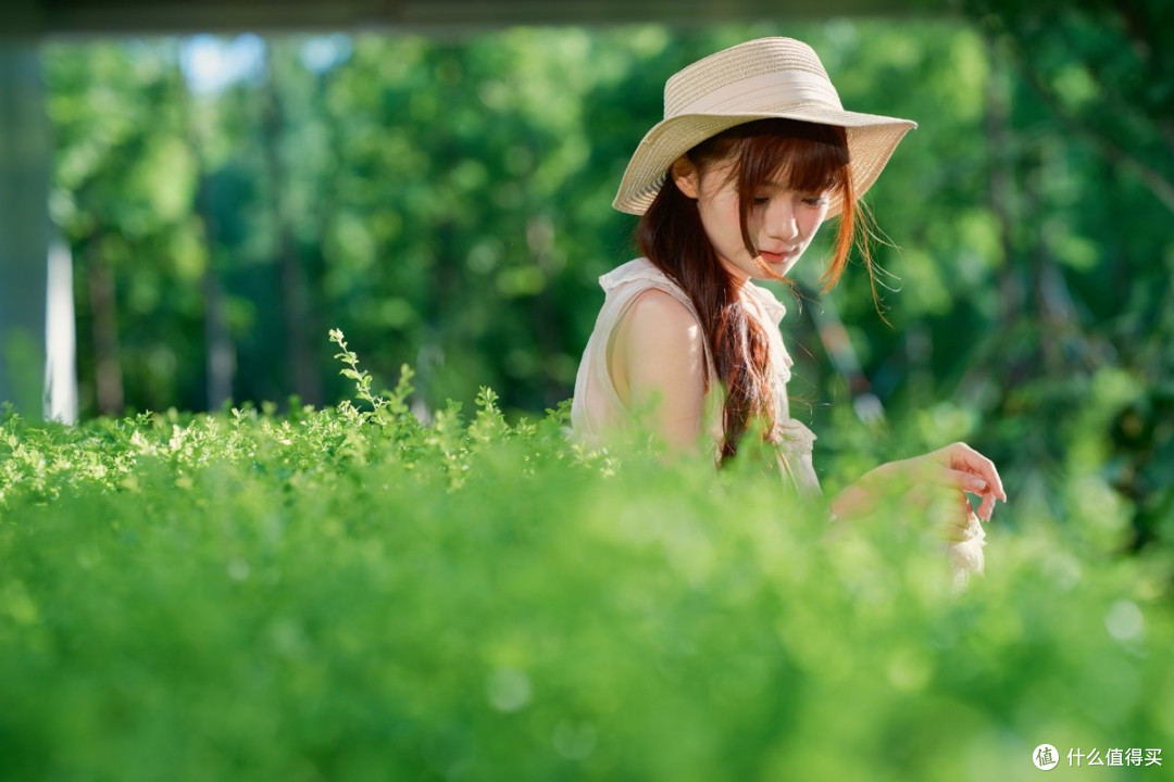 适马F1.2定焦收官之作！ Sigma 85mm F1.2 DG | Art测评