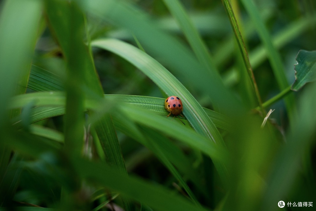 这才是真正的全能挂机镜 适马 20-60mm F2.8-4 DG测评