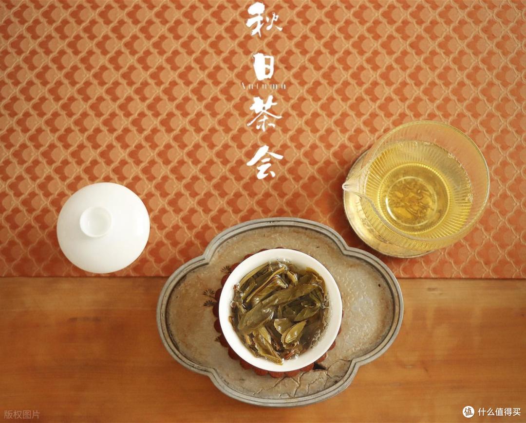 秋天适喝白茶，尤其是这3个节气采摘的茶，懂行的已开始入手了