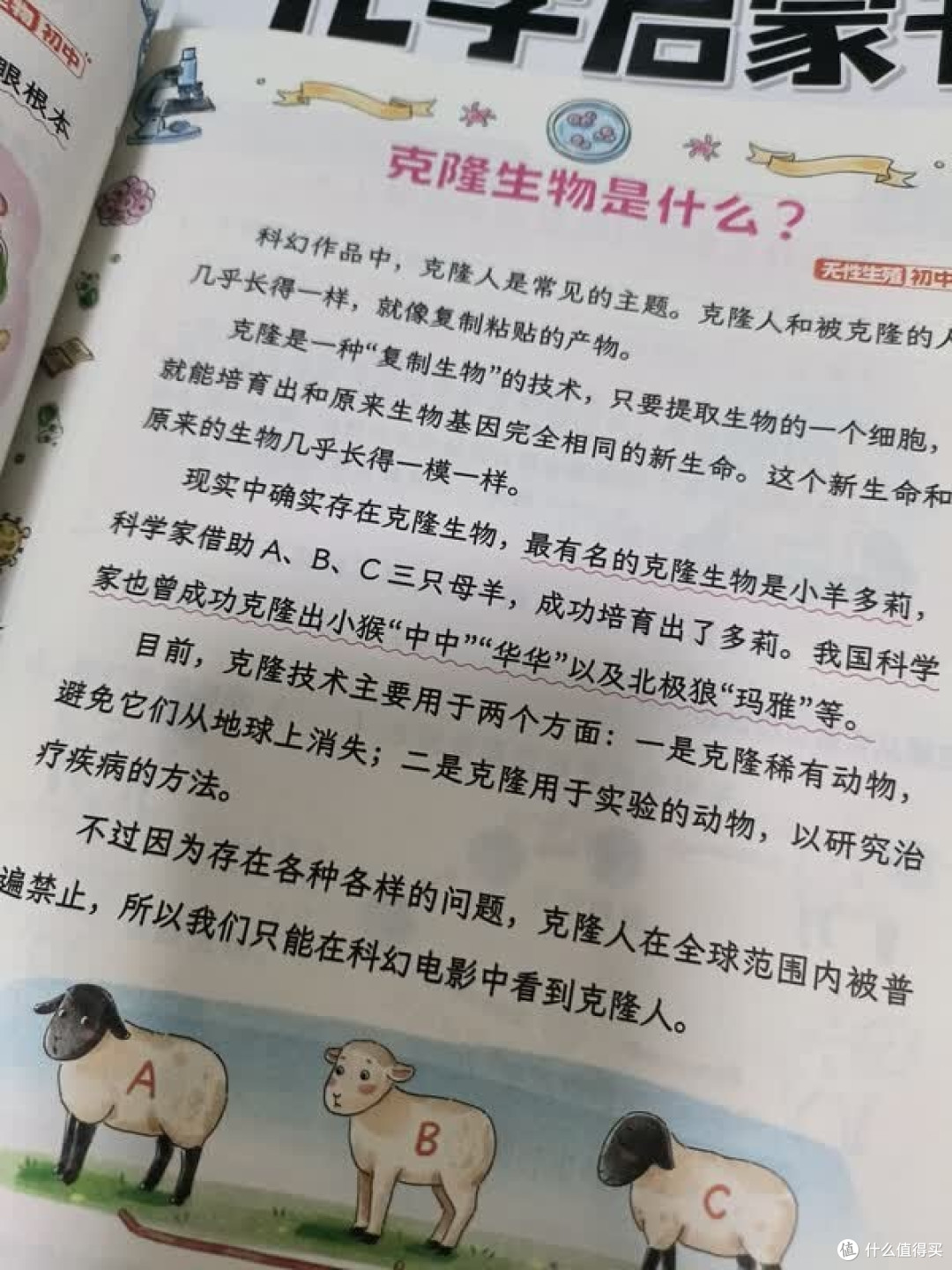 小升初小四门漫画启蒙策略