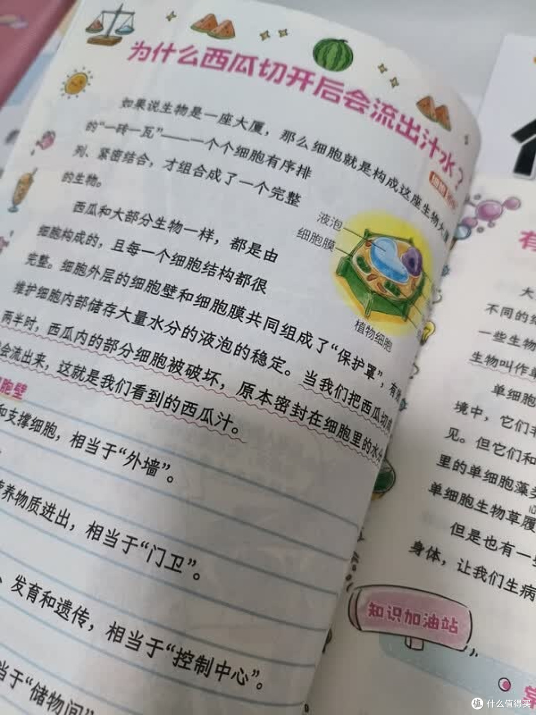 小升初小四门漫画启蒙策略