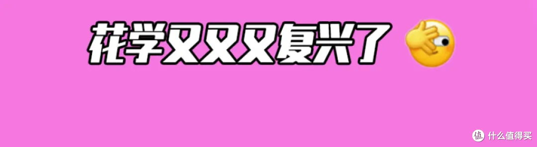 《花少2》全员口碑逆转——“毛毛姐”花少二表现究竟如何？