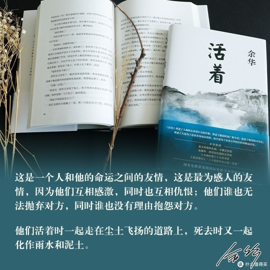 构建你的“励志书单”：从《活着》中读懂生命的意义
