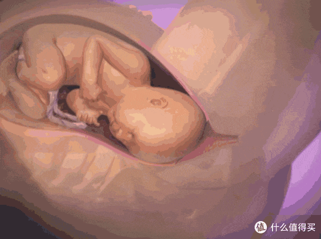 宝宝出生的时候为什么哭，是疼哭的吗？宝宝:有点疼，但不多！
