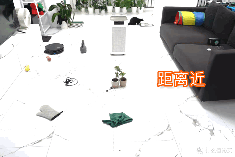 改写地面清洁标准，真正解放双手｜洁癖养猫党实测科沃斯X12S PRO 