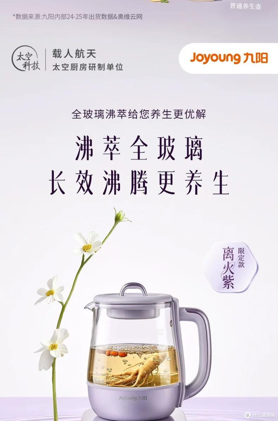 家用养生壶九阳2L大容量实测：一壶搞定全家人的花果茶药膳汤