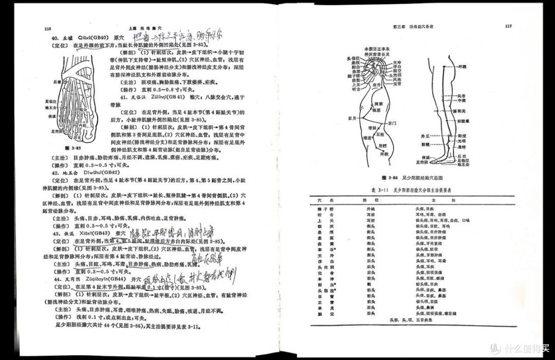成者 ET28 深度评测:一台专业扫描仪到底好用在哪?