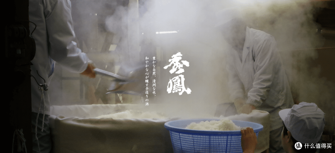 夏酒C位,秀凤海边限定!