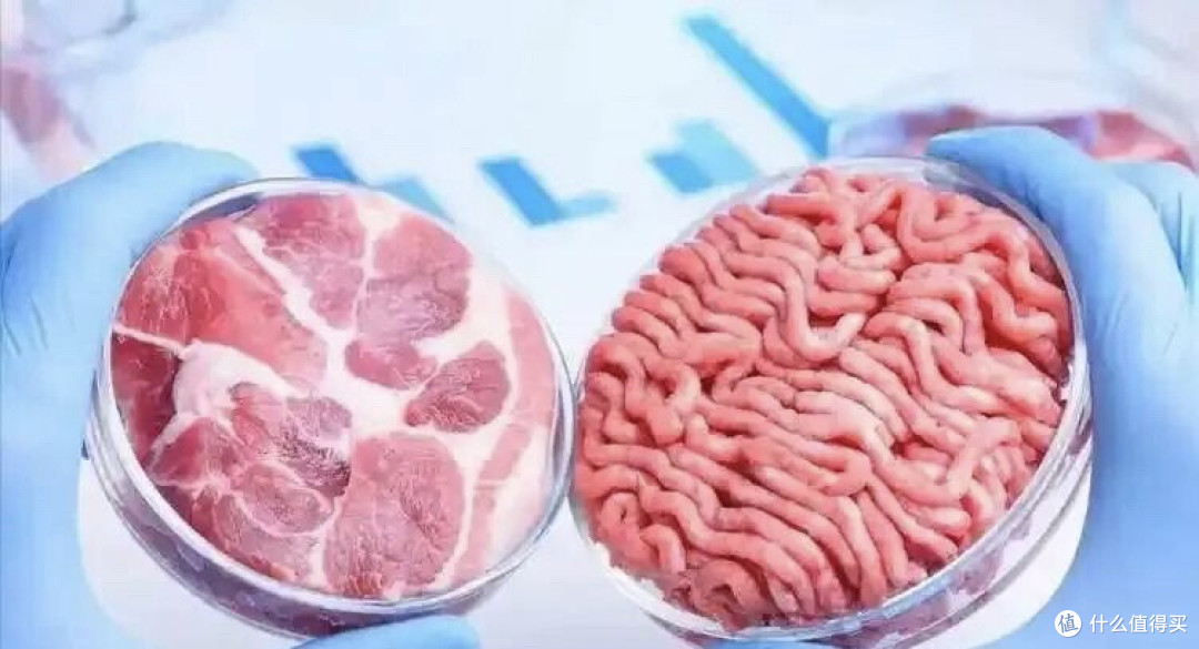 3D打印猪肉来了，不用养猪也能吃猪肉，5年后价格比普通肉更便宜