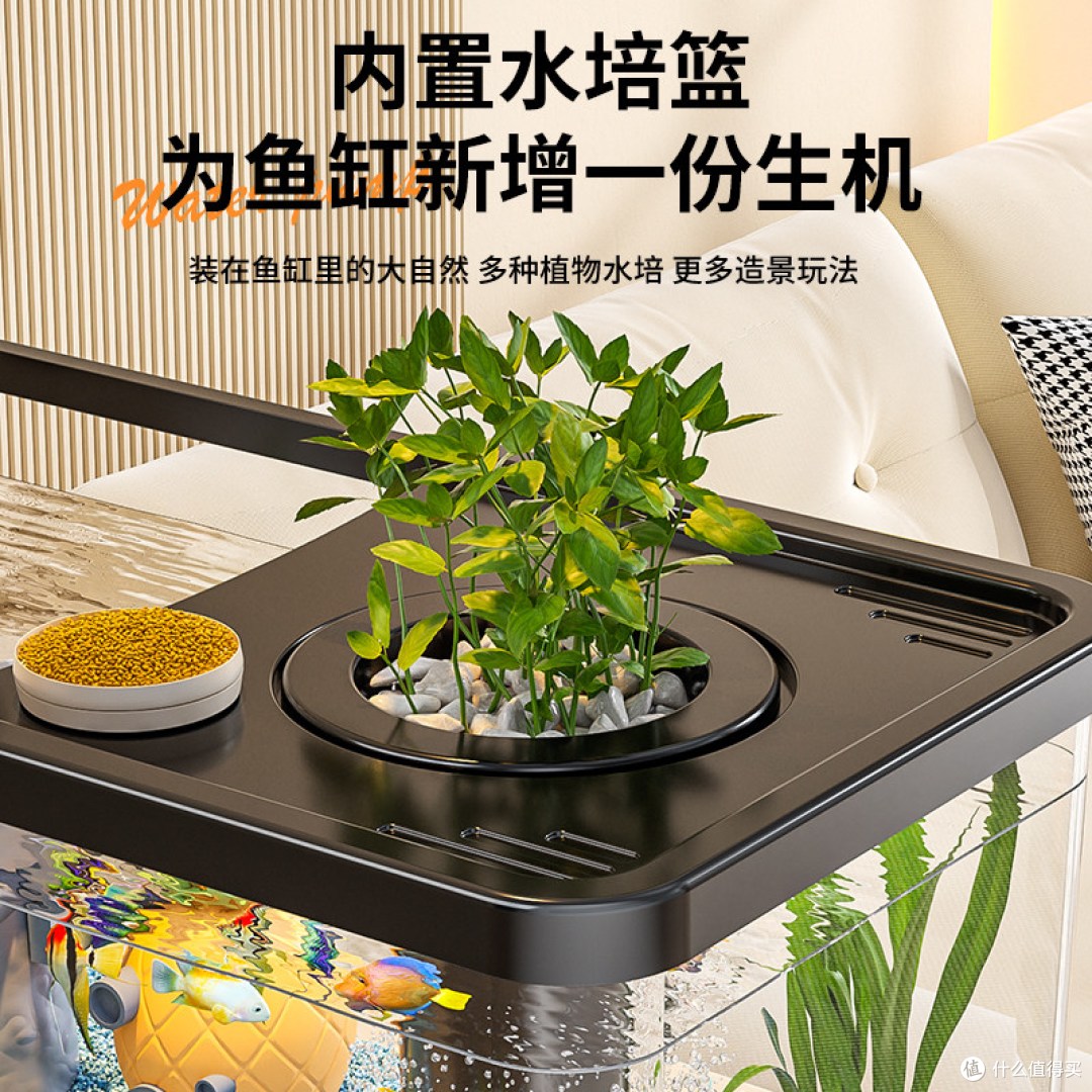 小桌面藏大生态,这款鱼缸让我告别养鱼焦虑