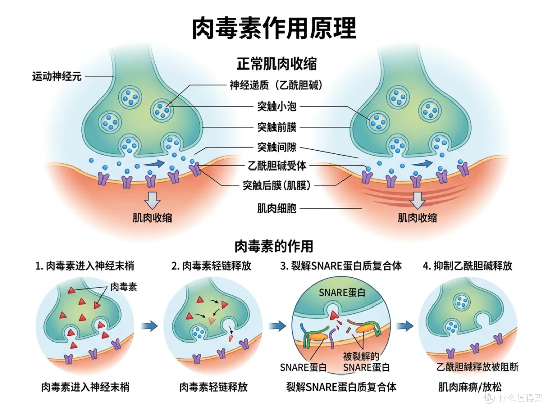 景区NPC女孩一次打10支玻尿酸:医美救不了容貌焦虑