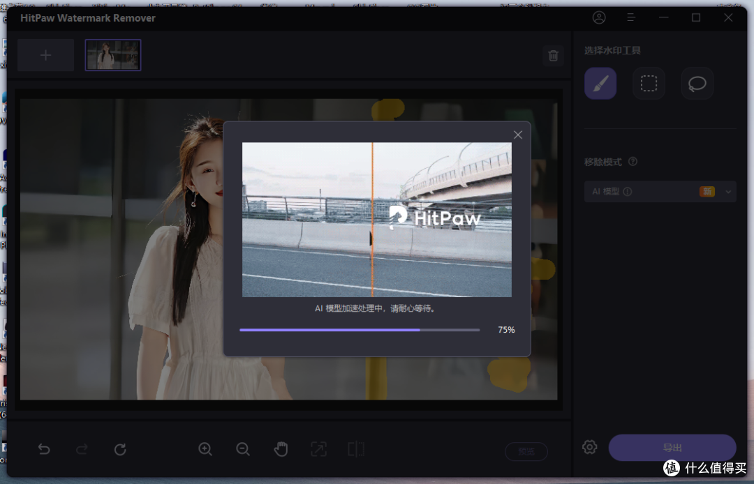 HitPaw Watermark Remover
