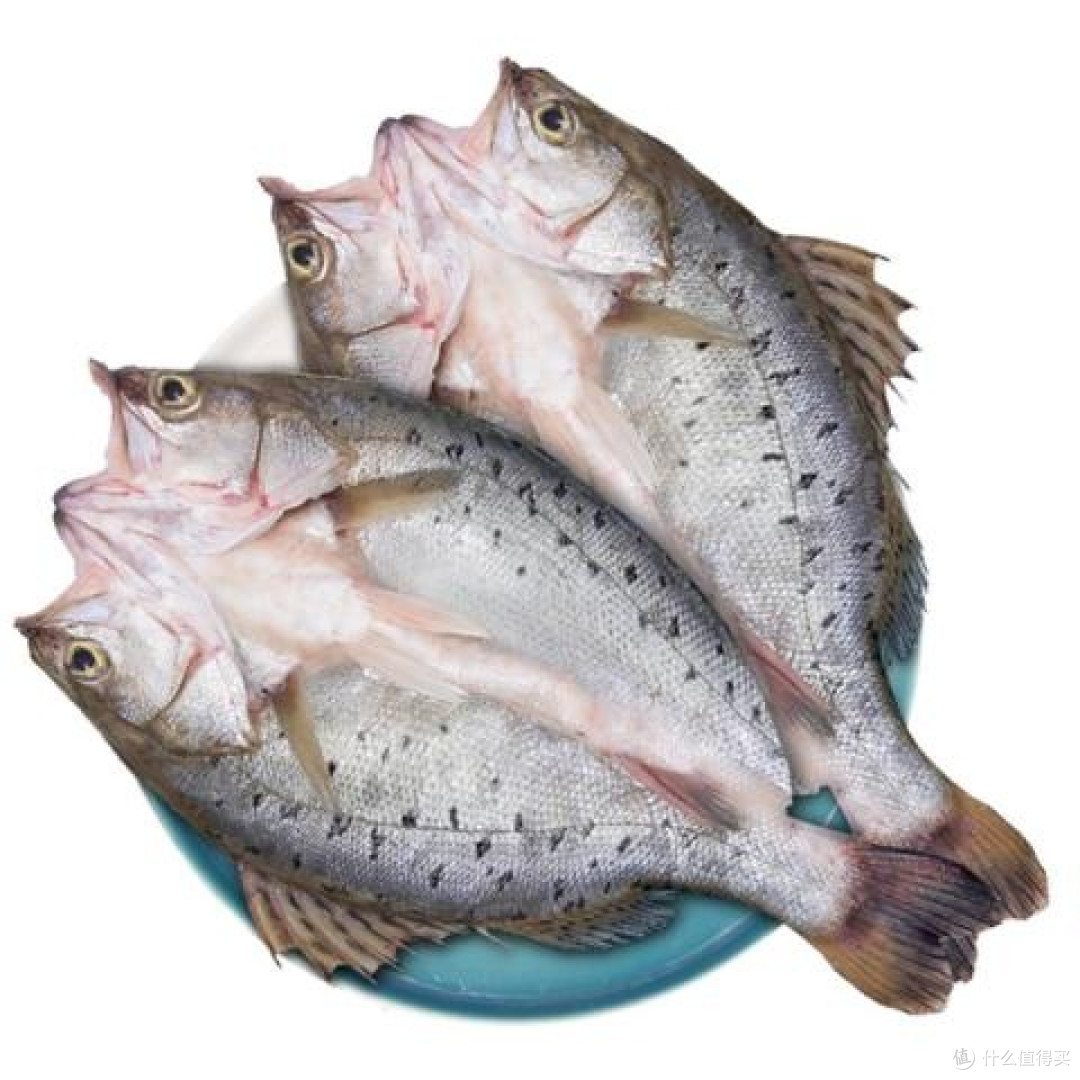 清蒸鲈鱼的火候掌控与去腥技巧