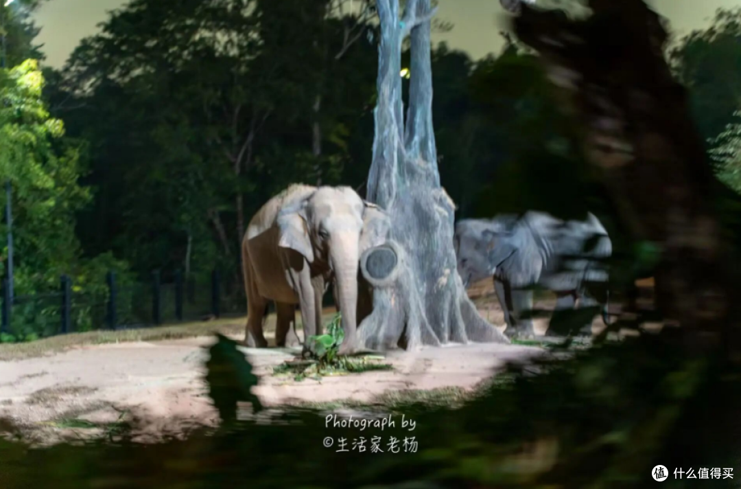 新加坡第二天|万代6园一天打卡，错一步就来不及了