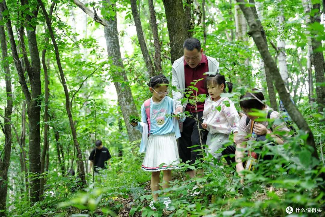长白山亲子住宿，带娃住店全流程观察