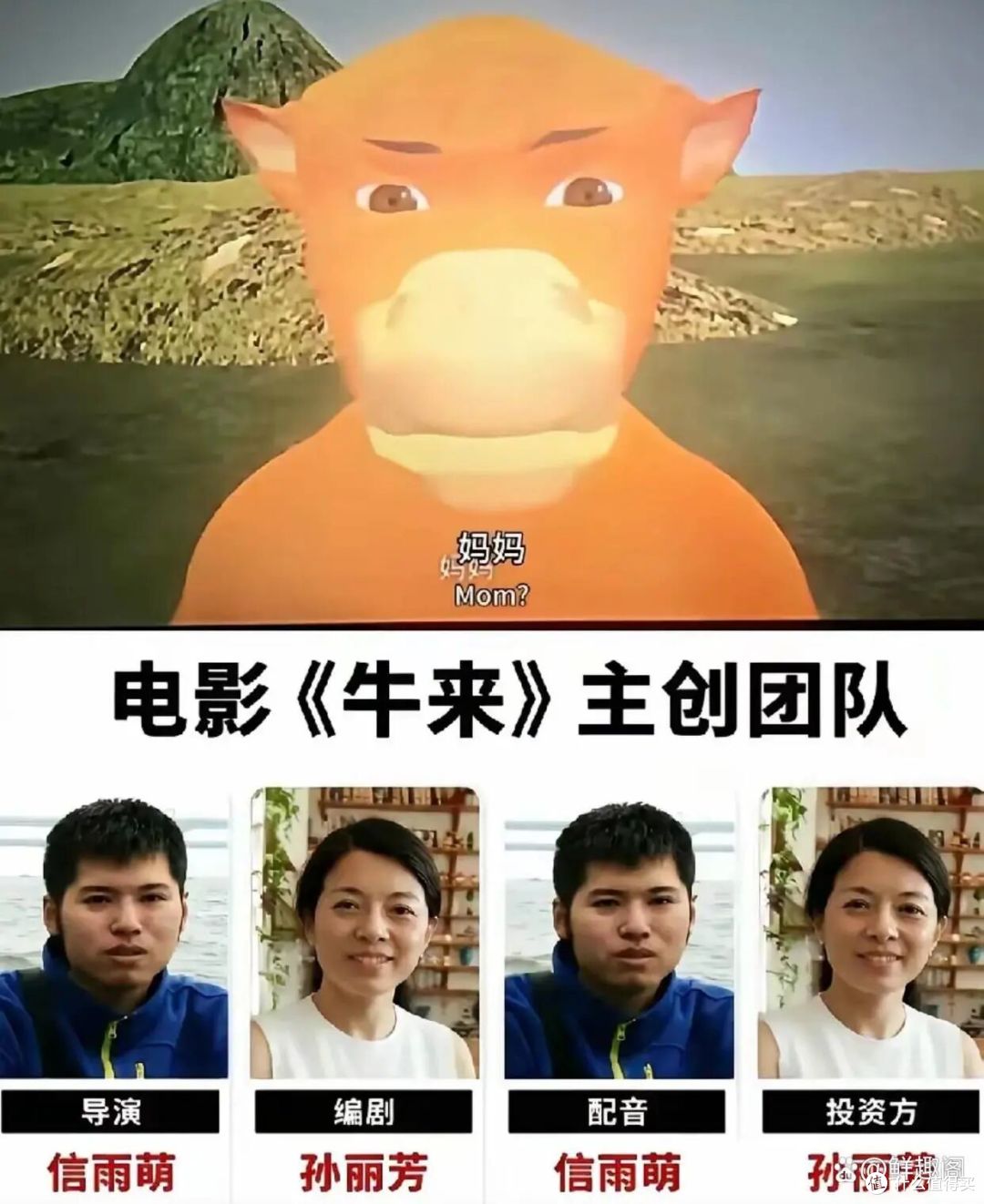 《牛来》票房冲到六千万：都在骂它烂，买票的人到底图个啥？