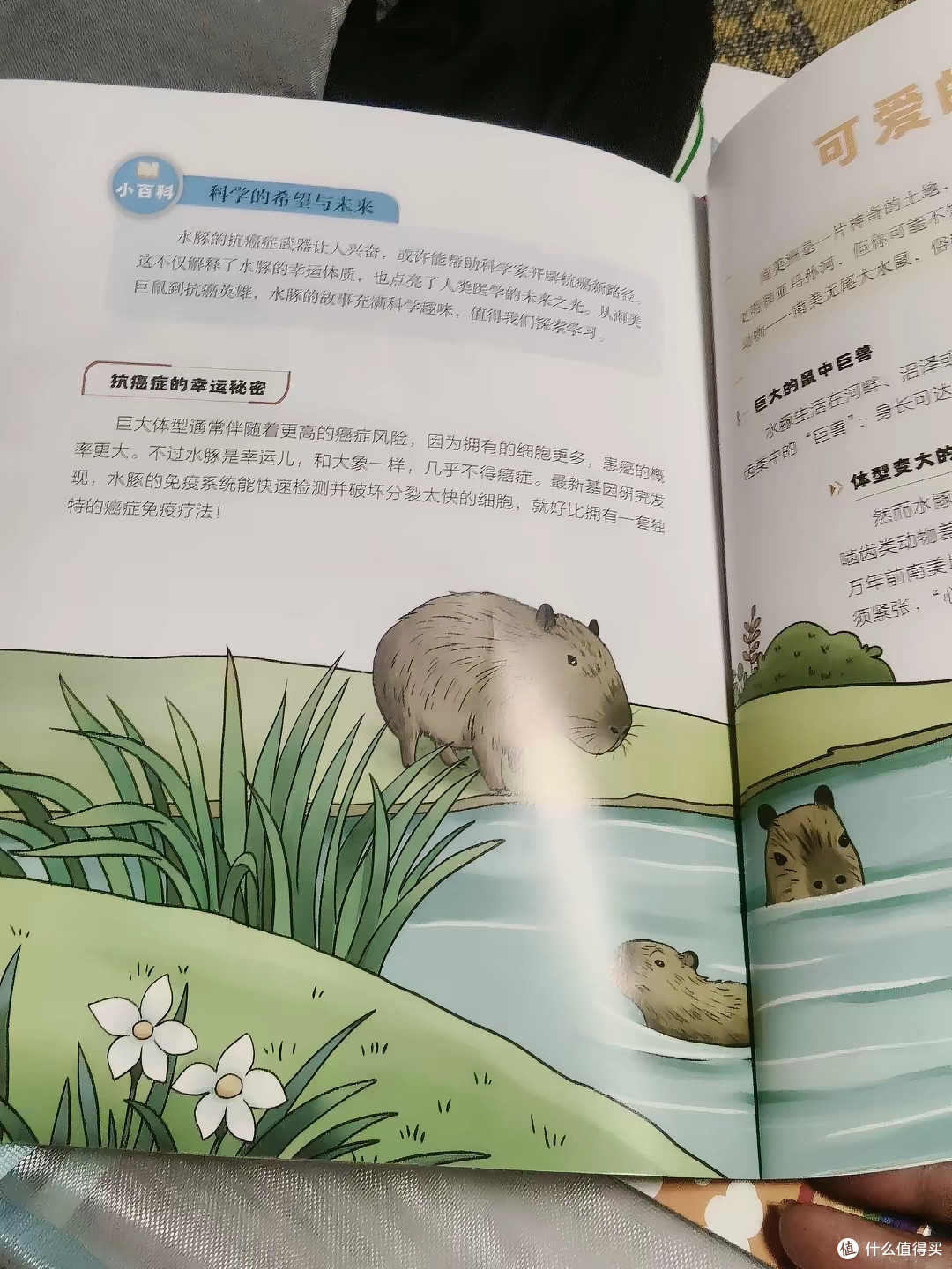 刷短视频不如读书?这份书单真香