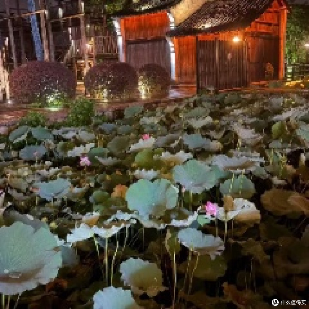 花朵