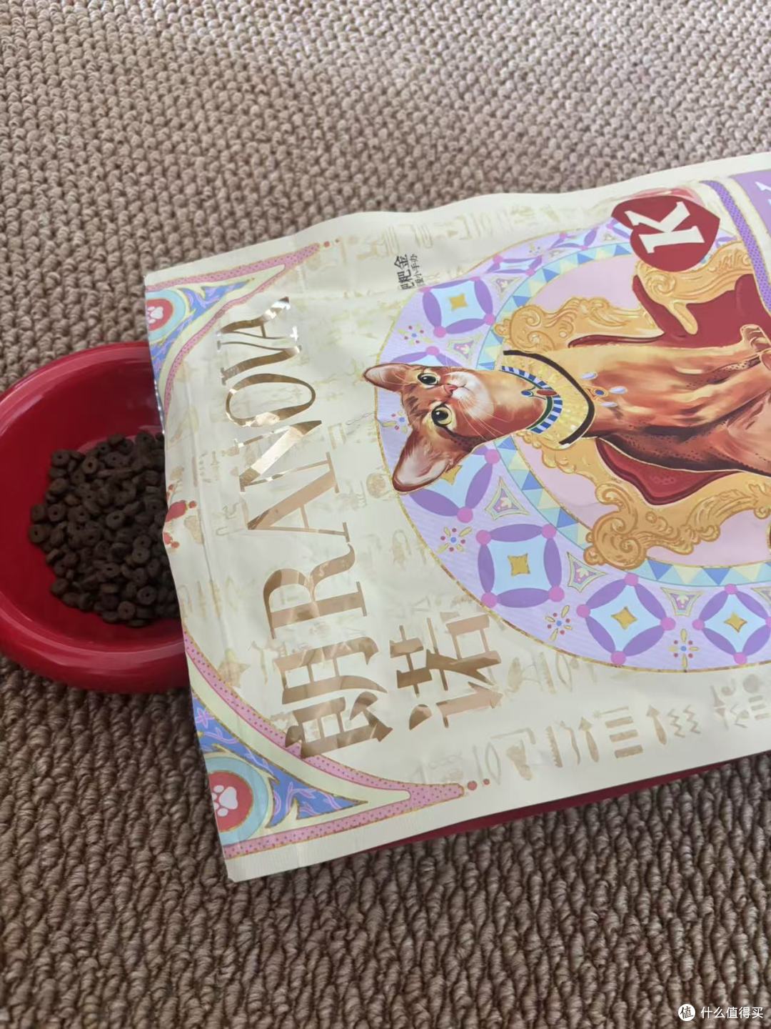鲜朗和朗诺都在备选，换毛季该按什么来挑？