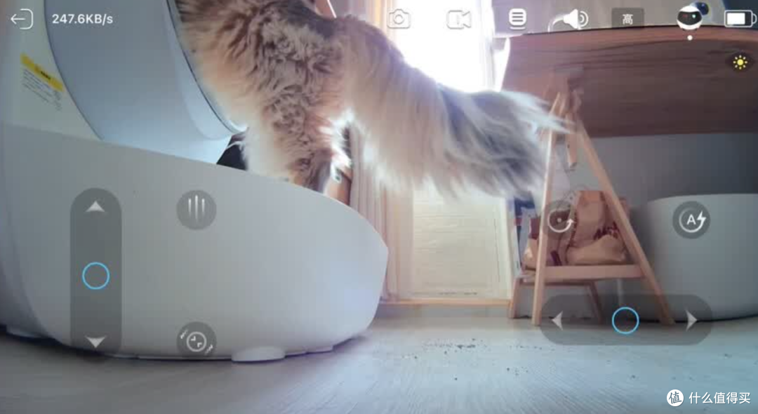 猫拆家半夜跑酷怎么办?会跑的宠物监控能帮上什么忙