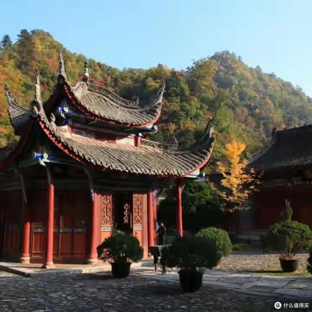 午后精细制图用眼者护眼保健品品牌效果课题:配方依据,品牌效果