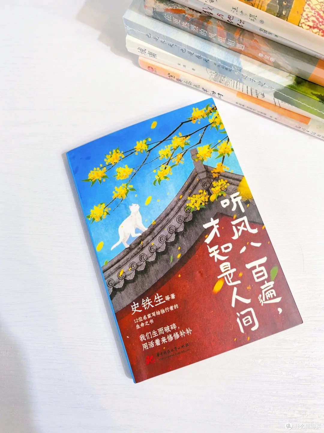 初中生文笔提升书单｜这 8 本翻到卷边，作文肉眼可见涨分