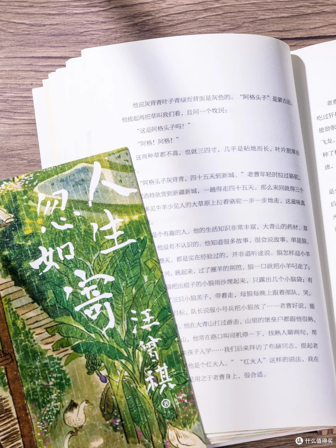 初中生文笔提升书单｜这 8 本翻到卷边，作文肉眼可见涨分