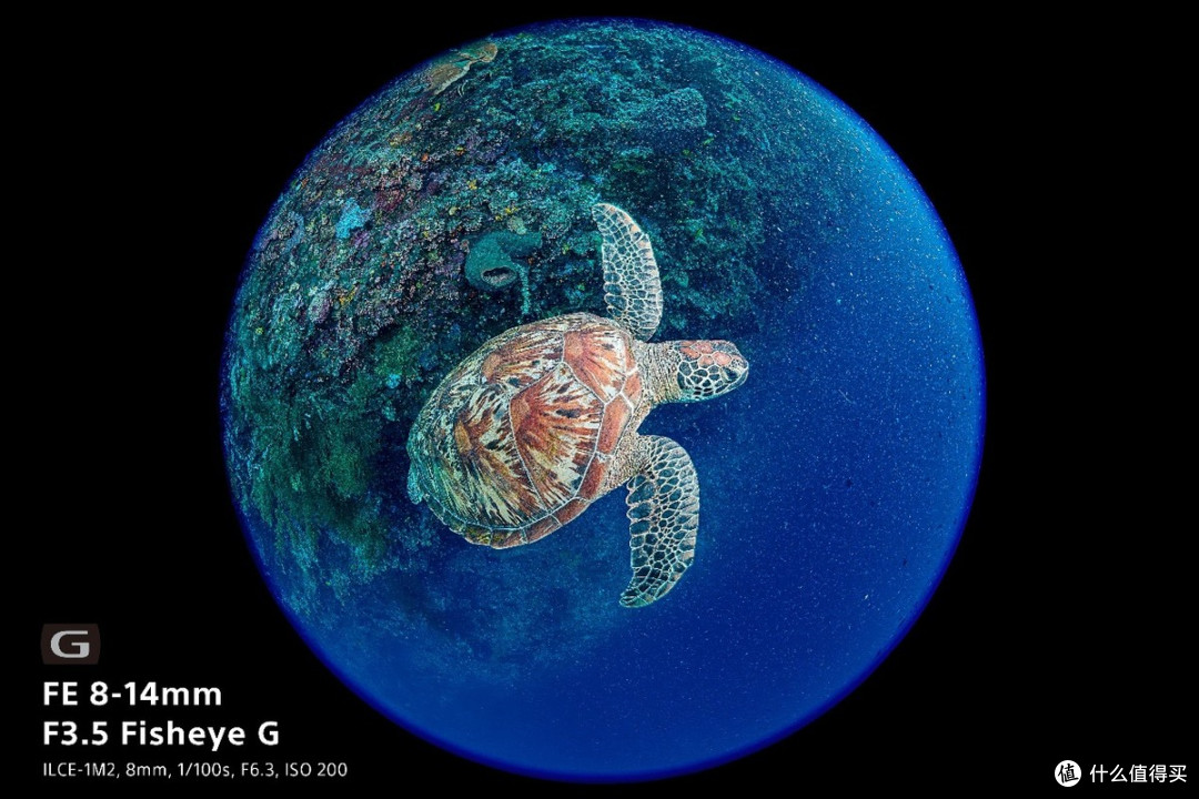 索尼正式发布首款全画幅鱼眼变焦G镜头FE 8-14mm F3.5 Fisheye G