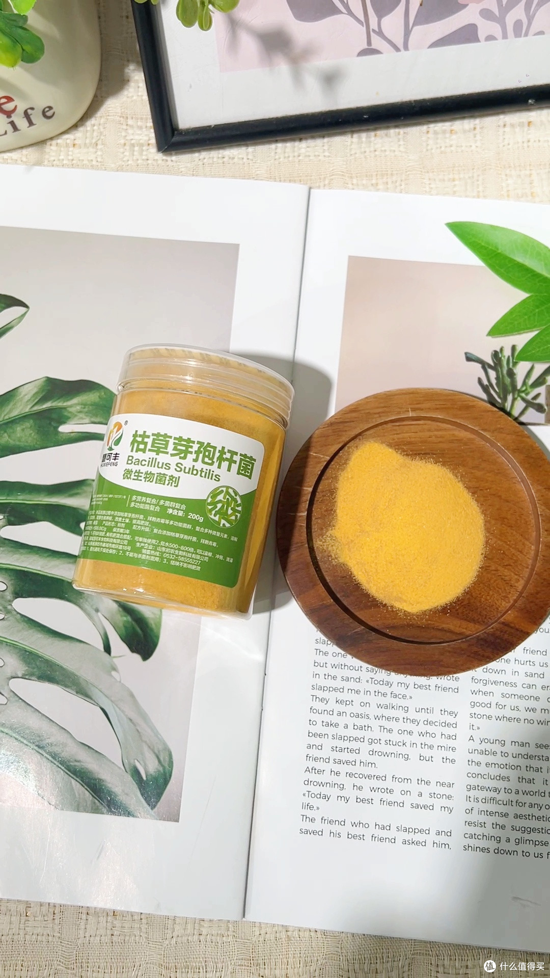 重茬地有救了,这套菌剂配方真管用