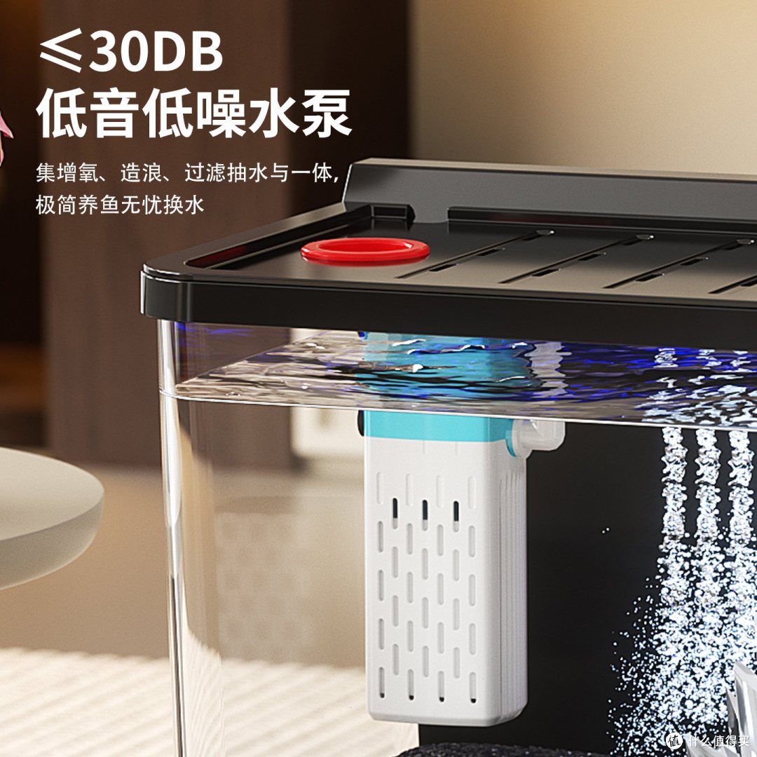 桌面养鱼神器!懒人也能拥有生态鱼缸
