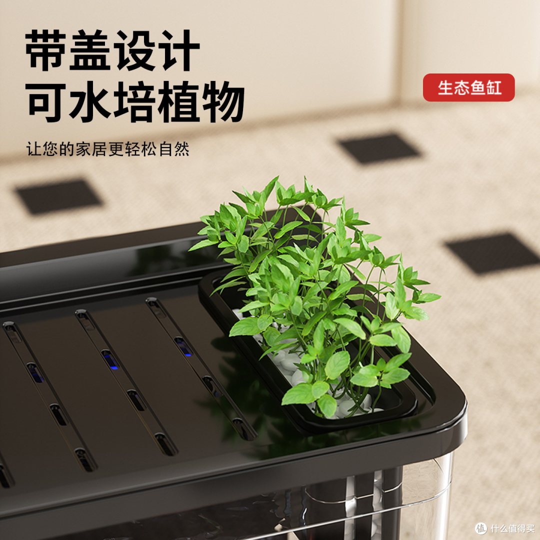 桌面养鱼神器!懒人也能拥有生态鱼缸