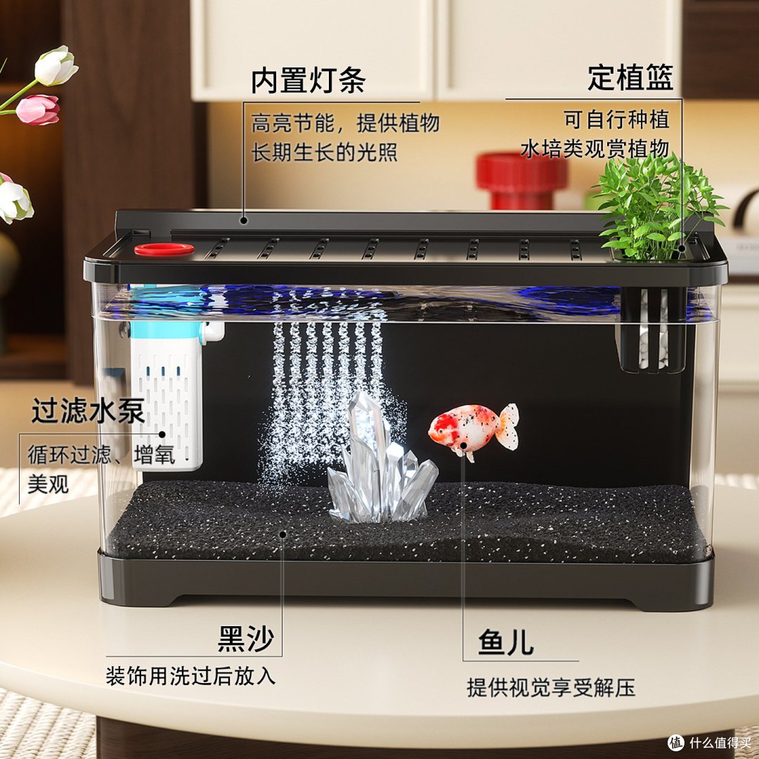 桌面养鱼神器！懒人也能拥有生态鱼缸