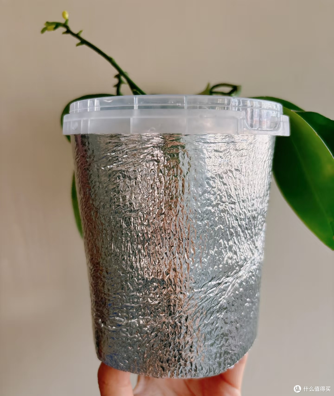 秋季蝴蝶兰长势差,用3个笨招养根,多到装不下,第三种少有人知