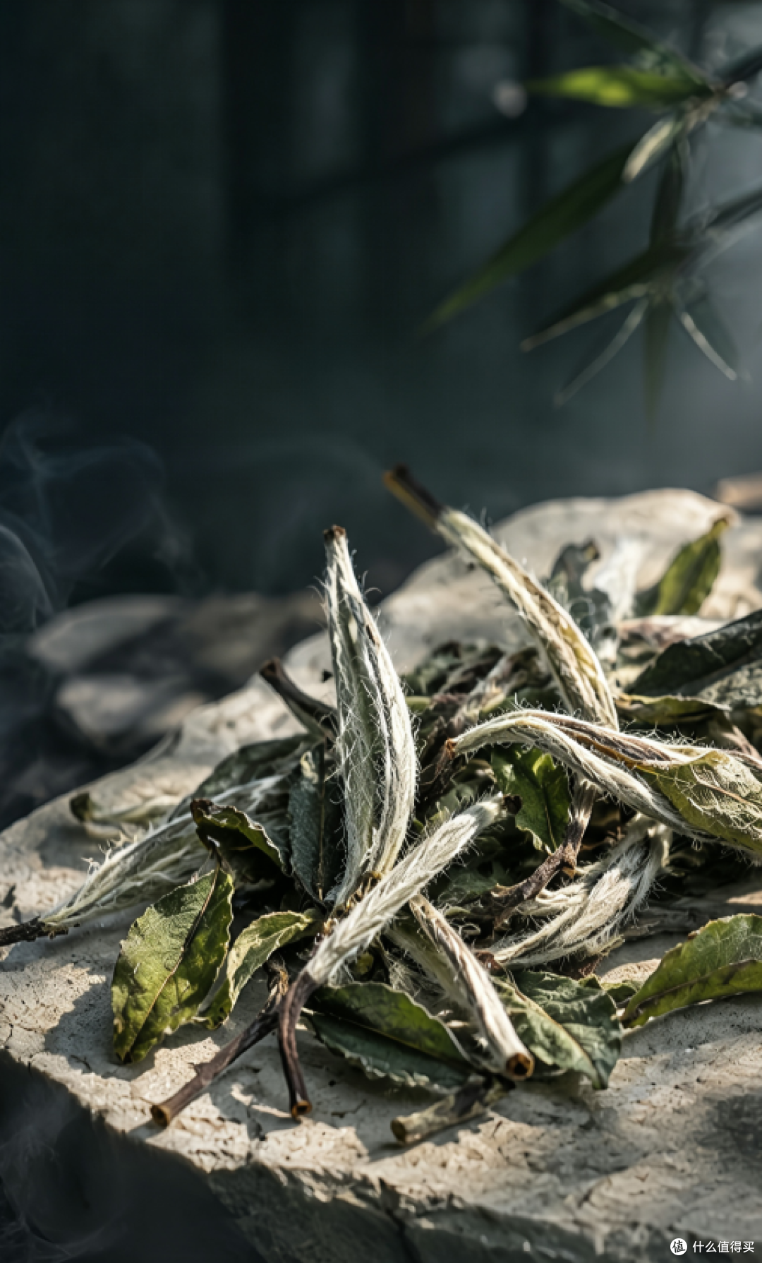 中秋伴手礼送什么?我把能一起喝的白茶礼整理出来了