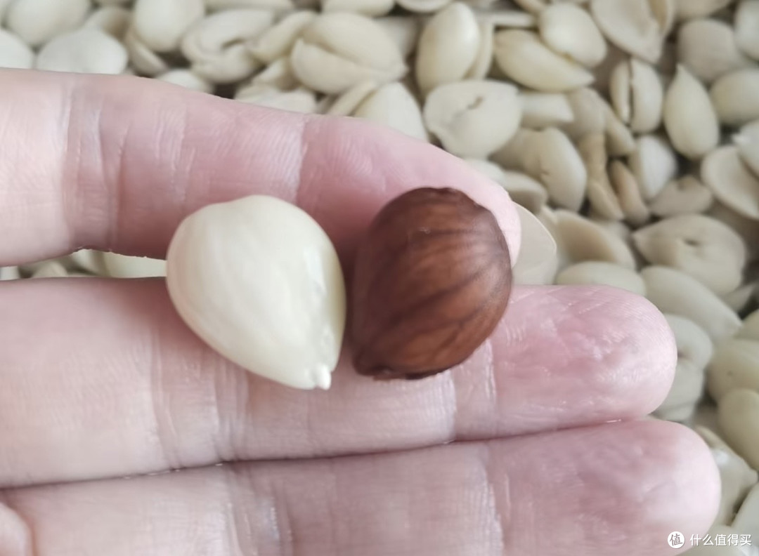 秋吃白，病不来，推荐六种适合秋天吃的白色食物