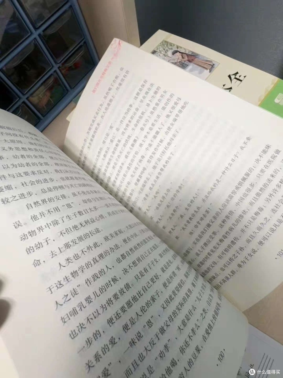 书香伴新学期,日积月累促成长