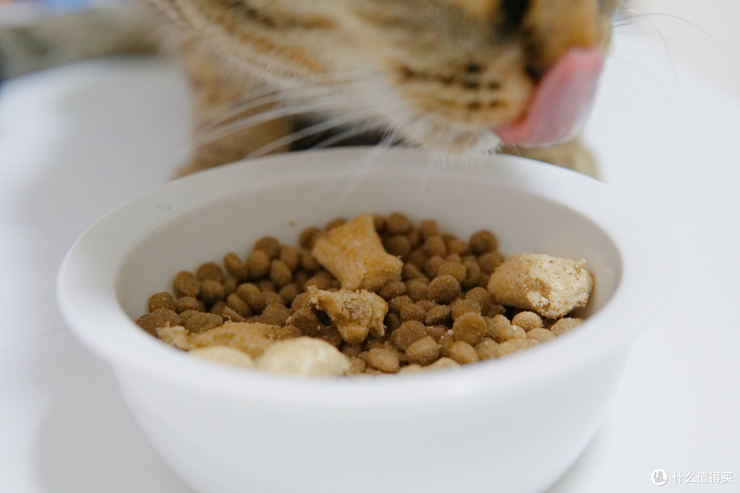 瓦慧芬吃猫粮永远是先把冻干挑出来吃光，说明还是爱纯肉