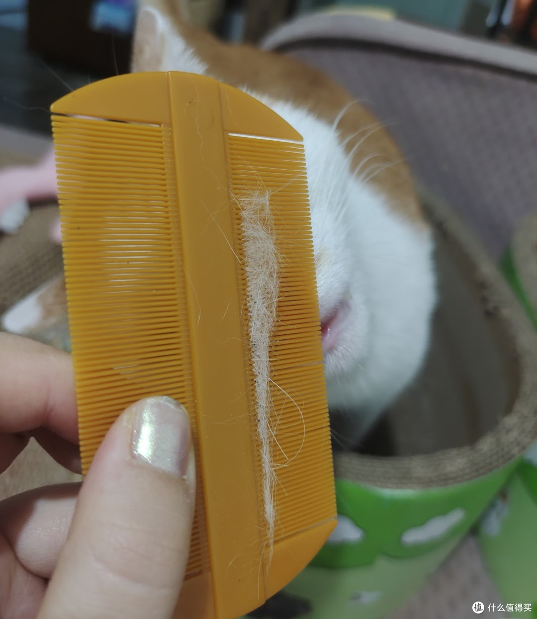 搜了下也看到有人用于宠物的哈哈