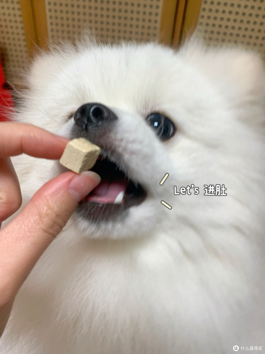 配图