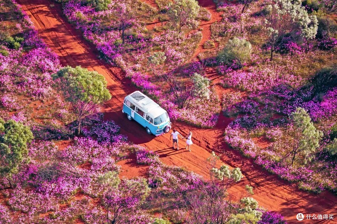 ● Australia’s Golden Outback, Western Australia  📷 / © Tourism Australia