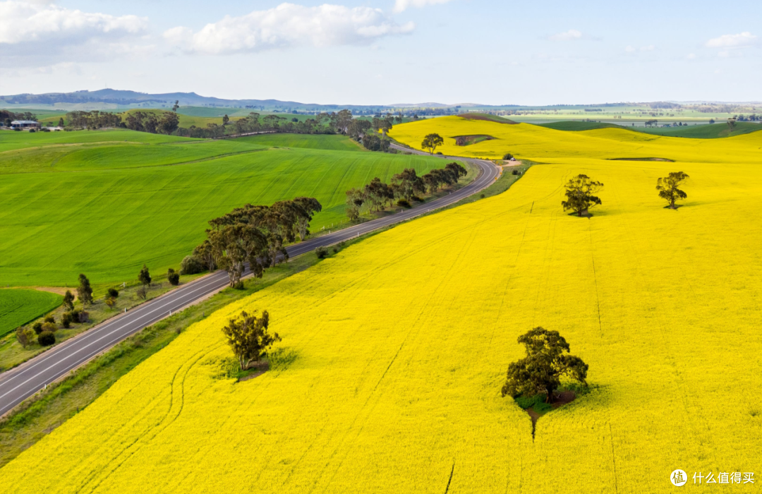 ● Truro, Barossa, South Australia  📷 / © Isaac Forman