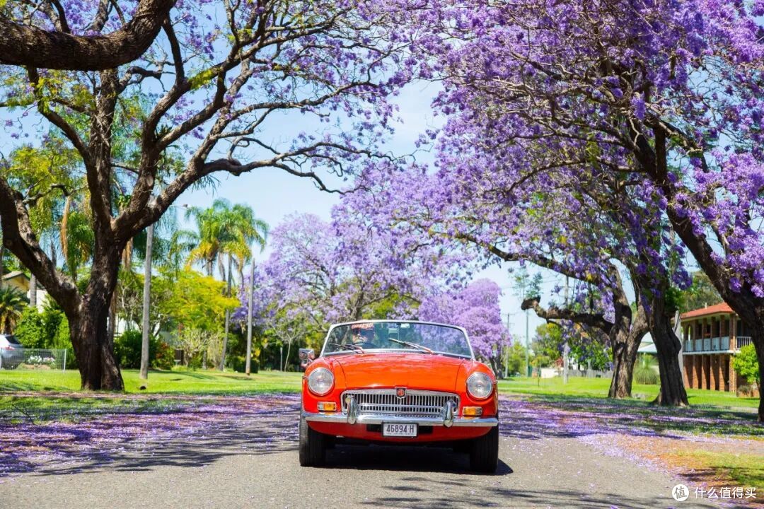 ● Grafton, New South Wales  📷 / © Destination NSW
