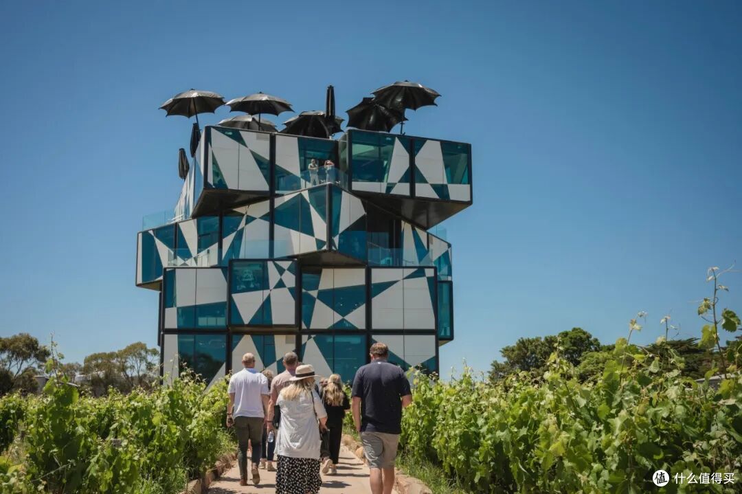 ● McLaren Vale, South Australia  📷 / © Tourism Australia