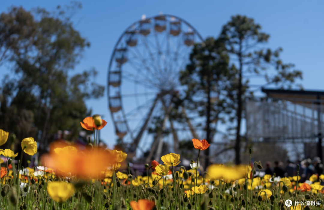 ● Commonwealth Park, Canberra, Australian Capital Territory  📷 / © Tourism Australia